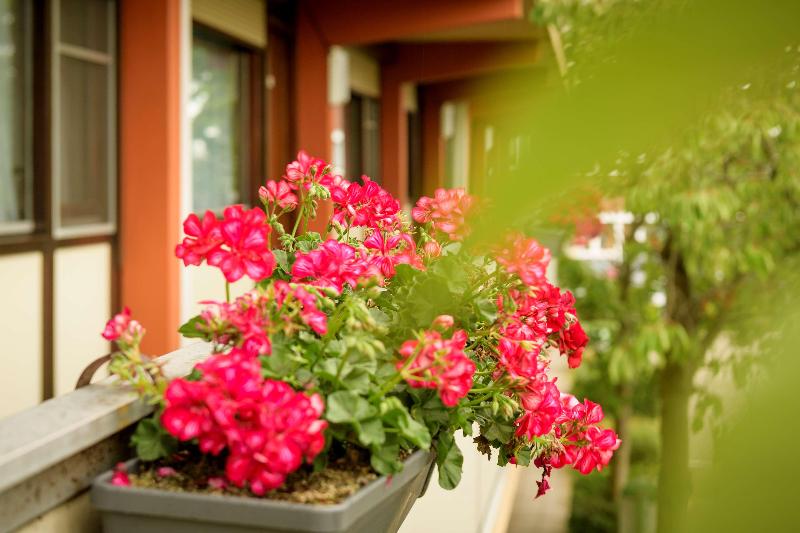 Campanile Hotel & Restaurant S Hertogenbosch