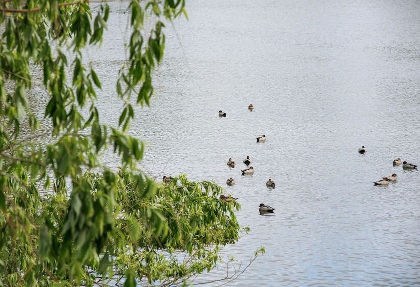 בית מלון כפרי Clare Country Club