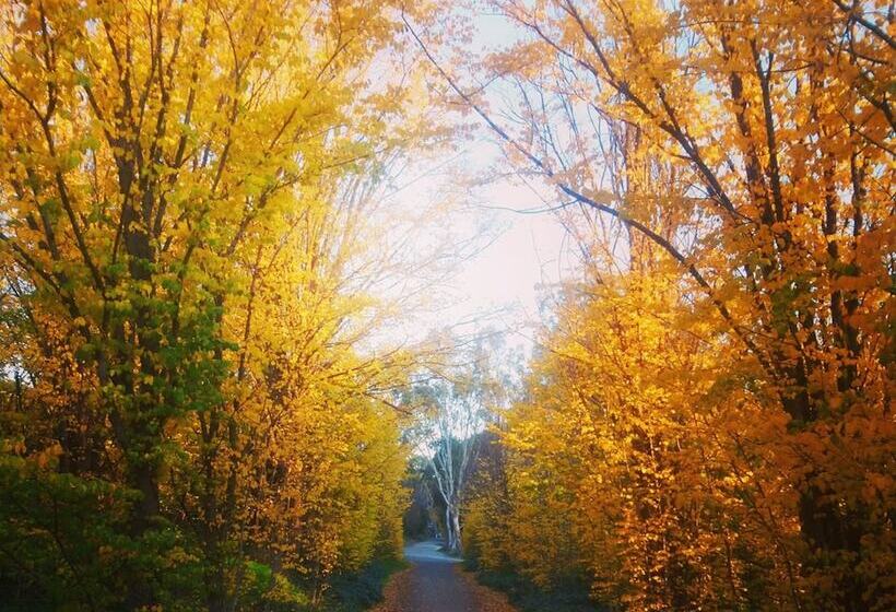 בית מלון כפרי Clare Country Club