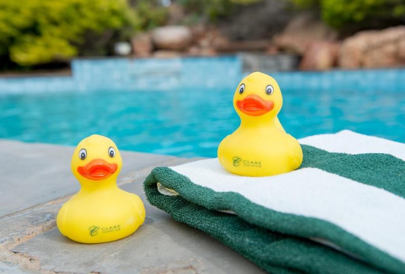 בית מלון כפרי Clare Country Club