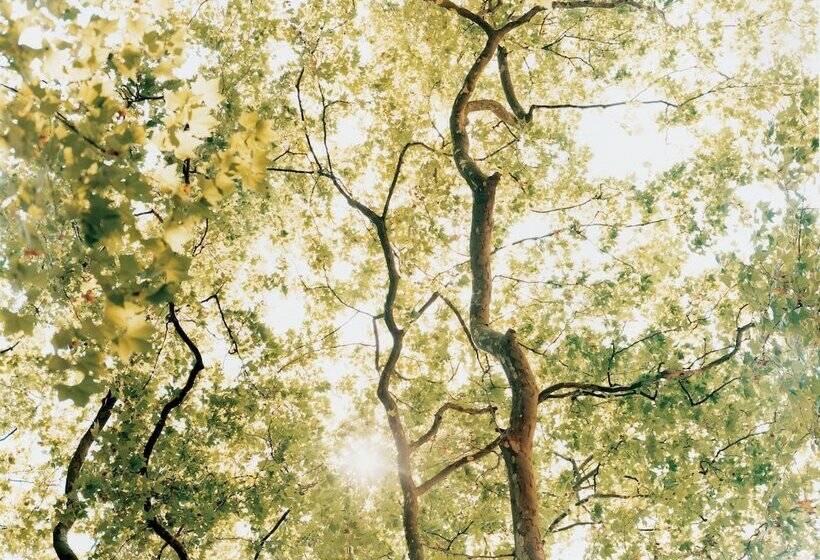 בית מלון כפרי Como Metropolitan London