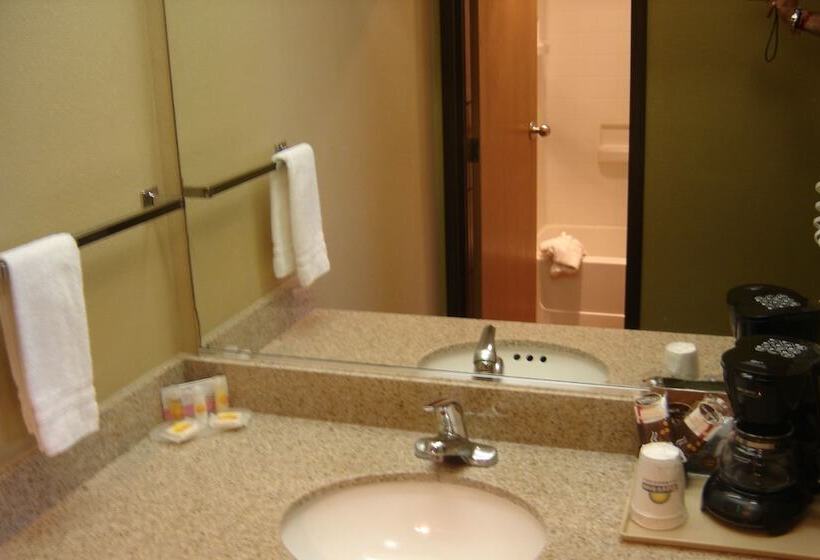 فندق Days Inn By Wyndham Carlsbad