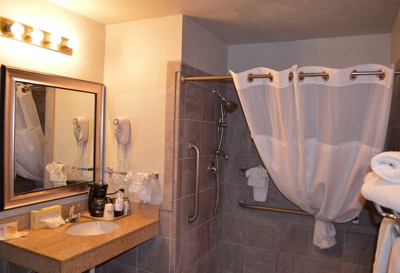 فندق Days Inn By Wyndham Carlsbad