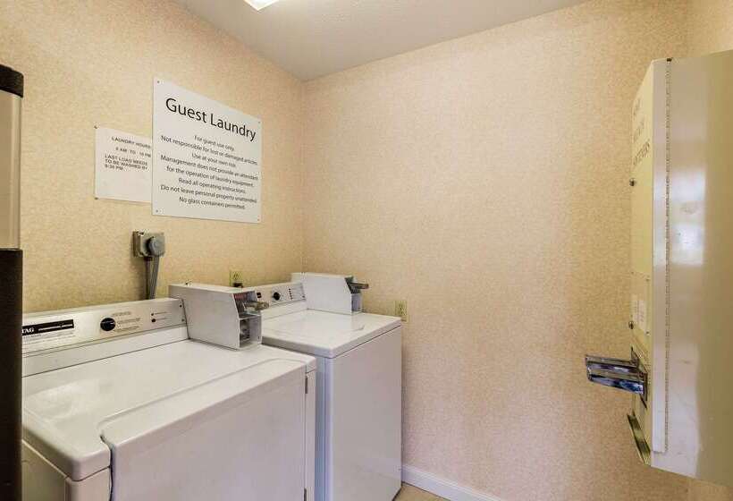 ホテル Rodeway Inn