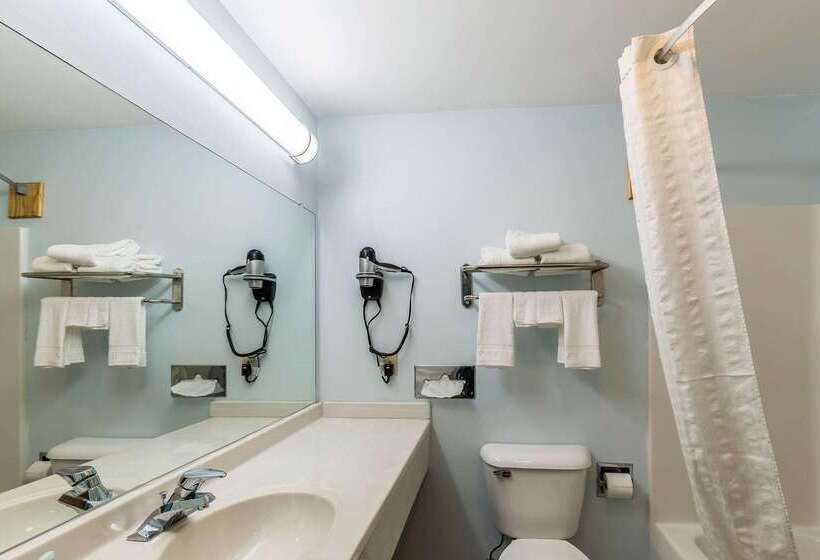 ホテル Rodeway Inn