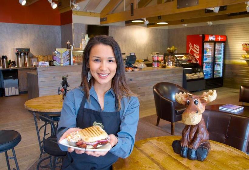 فندق Denali Bluffs