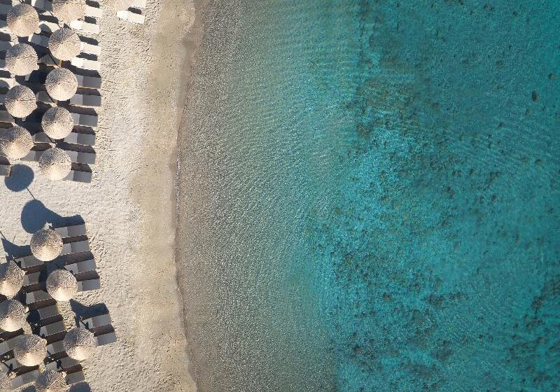 Отель Elissa Adults-Only Lifestyle Beach Resort