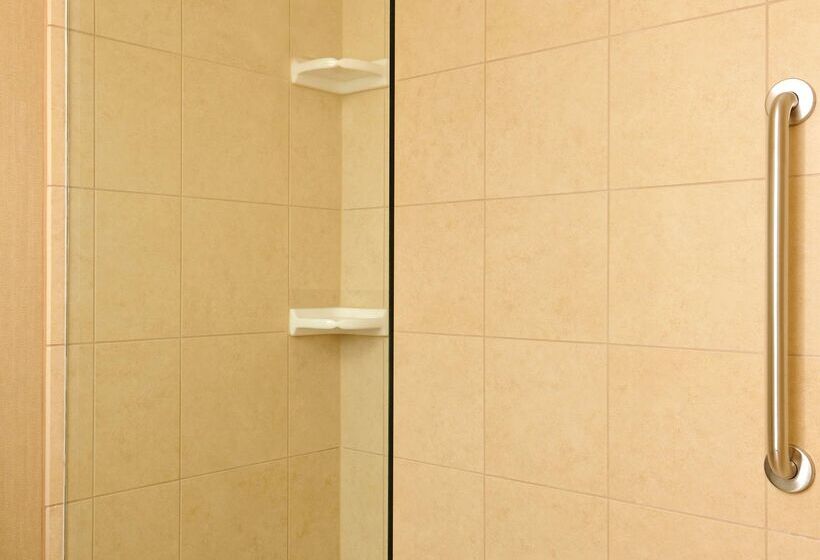 Embassy Suites Hotel Des Moines Downtown