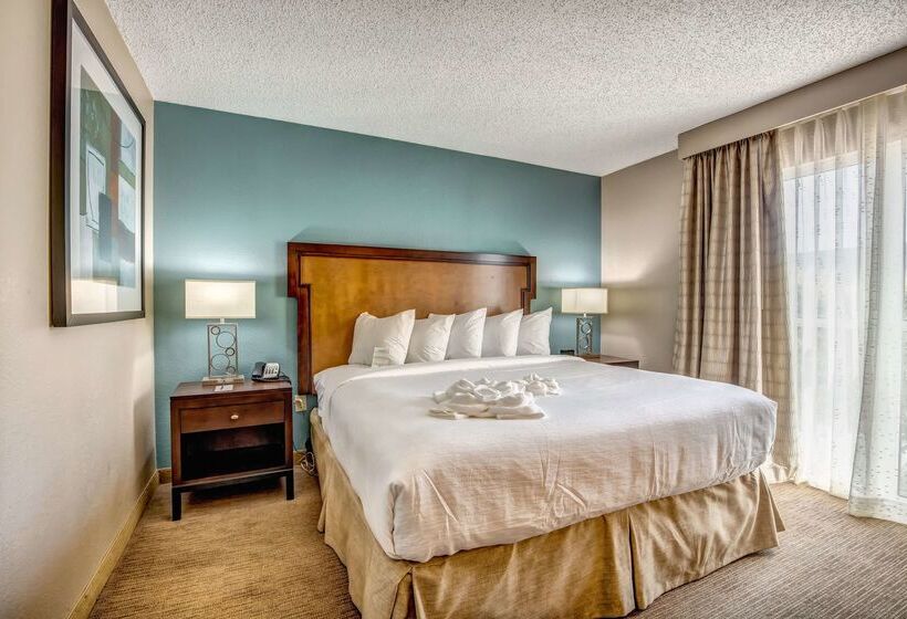 酒店 Embassy Suites By Hilton Memphis East Germantown Area
