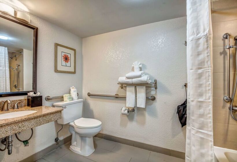 酒店 Embassy Suites By Hilton Memphis East Germantown Area