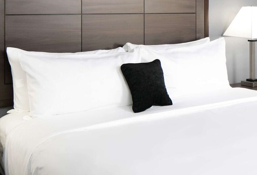 בית מלון כפרי Red Lion Inn & Suites Caseyville