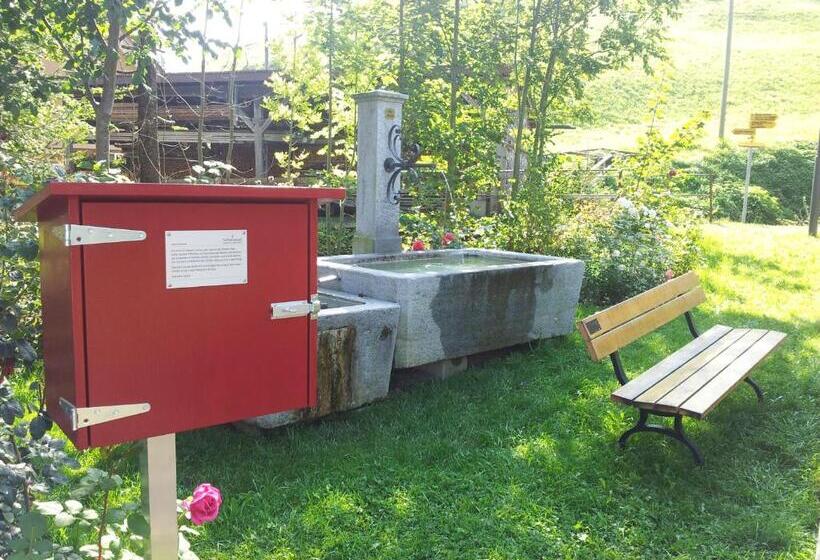 בית מלון כפרי Hof Weissbad