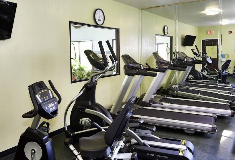 ホテル Holiday Inn Express & Suites Birmingham South   Pelham, An Ihg