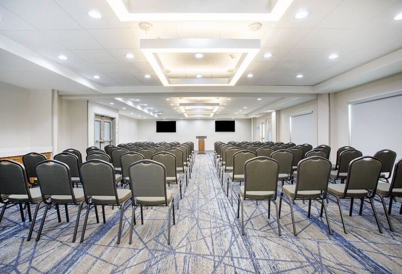 בית מלון כפרי Holiday Inn Express & Suites Tampa Stadium   Airport Area, An Ihg