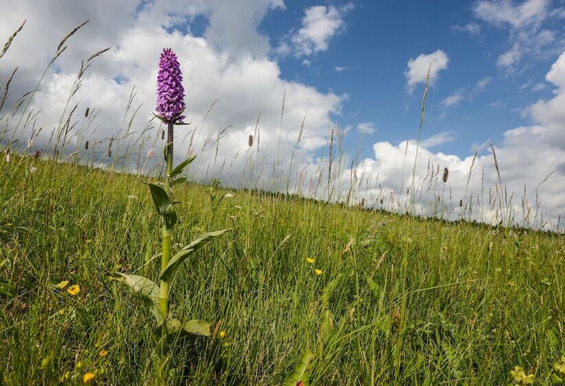 Horský Hotel Friesovy Boudy