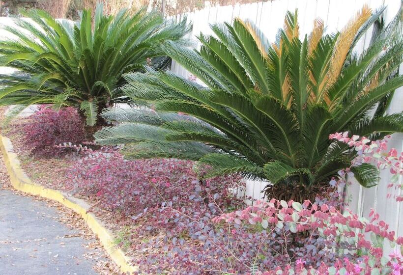 Отель Howard Johnson By Wyndham Tallahassee