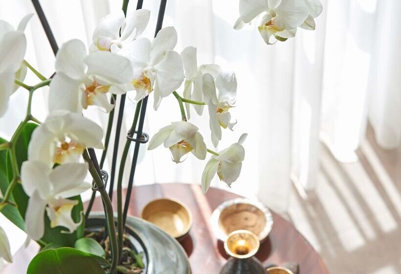 هتل Hyatt Regency Baku