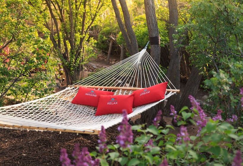 Отель Inn Of The Turquoise Bear