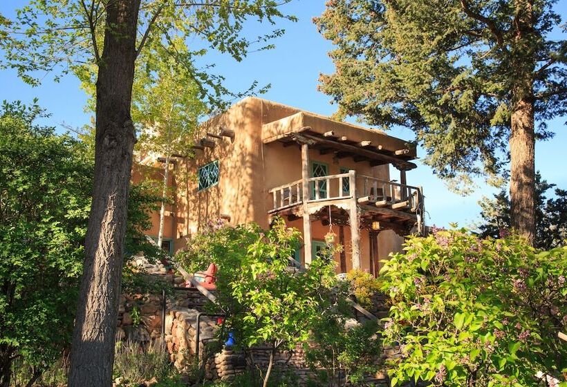 Отель Inn Of The Turquoise Bear