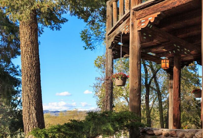 Отель Inn Of The Turquoise Bear