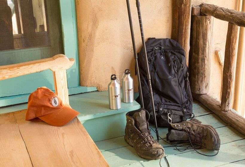 Отель Inn Of The Turquoise Bear