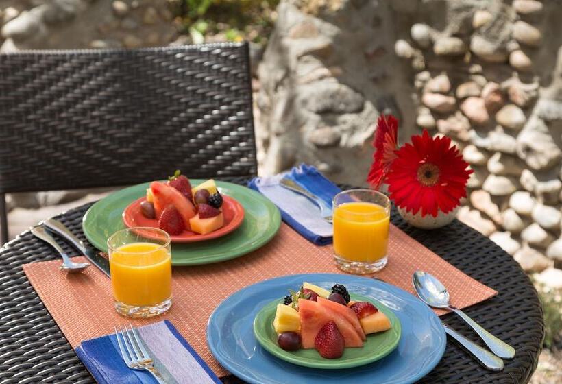 Отель Inn Of The Turquoise Bear