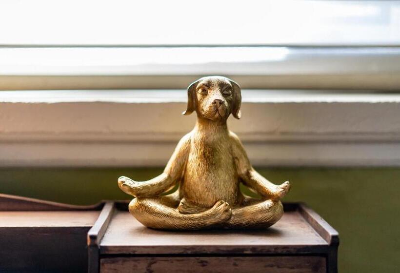 Отель Inn Of The Turquoise Bear