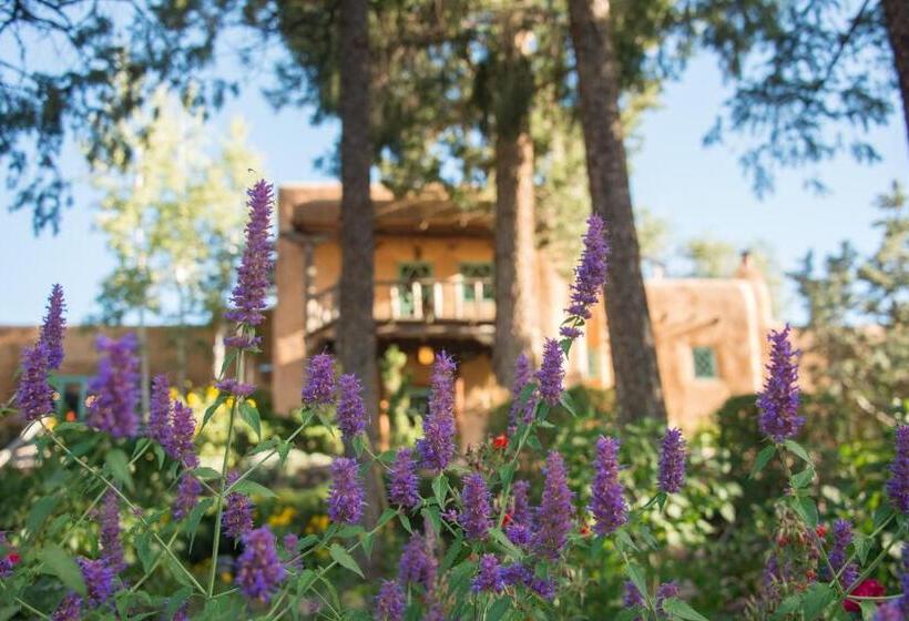 Отель Inn Of The Turquoise Bear