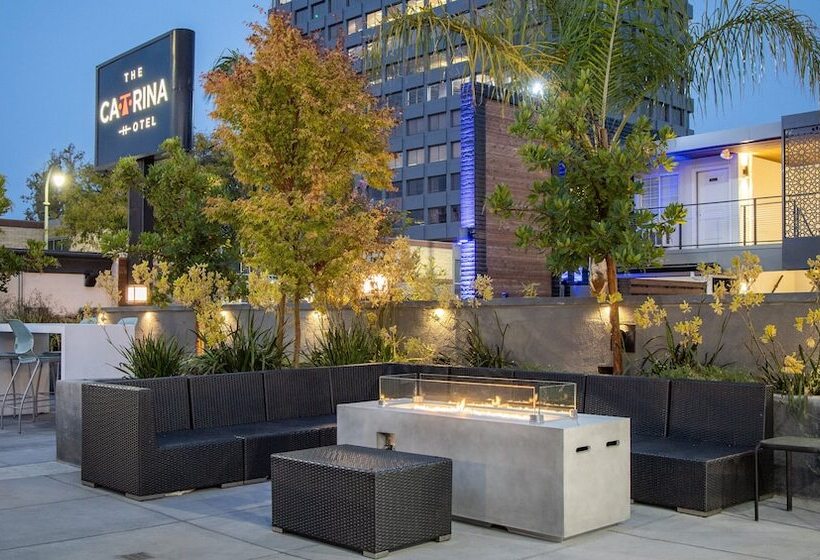 فندق The Catrina