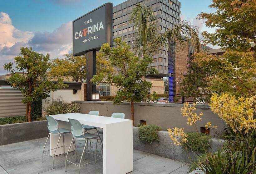 فندق The Catrina