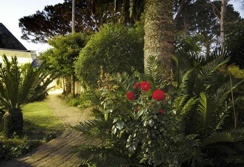 酒店 King George S Guest House