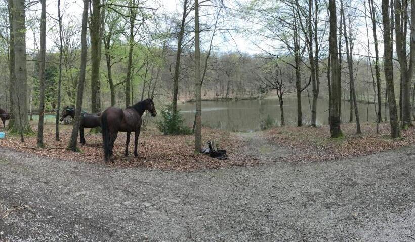 호텔 Le Pavillon De Gouffern