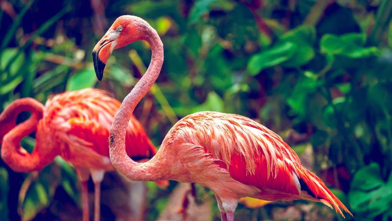 Magnuson Hotel Bradenton