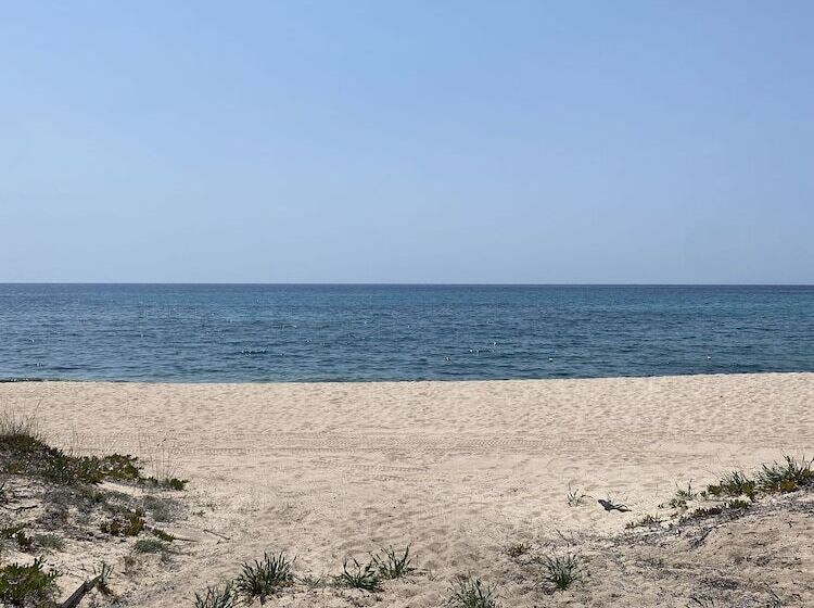 בית מלון כפרי Mare Pineta