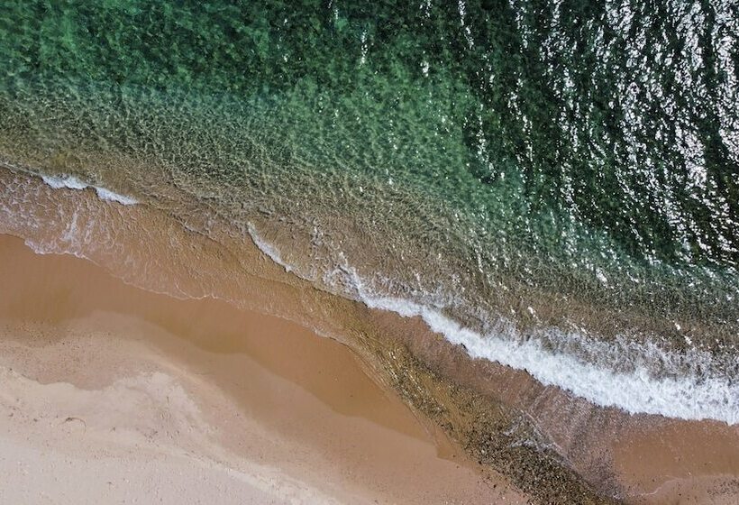 בית מלון כפרי Mare Pineta