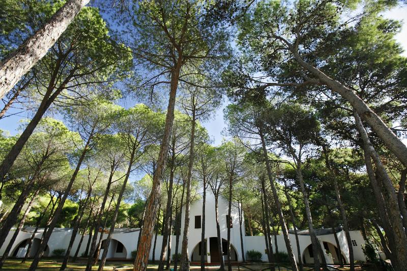 בית מלון כפרי Mare Pineta