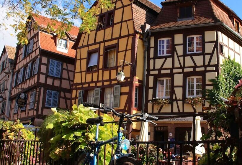 בית מלון כפרי Paul & Pia  Welcome Home