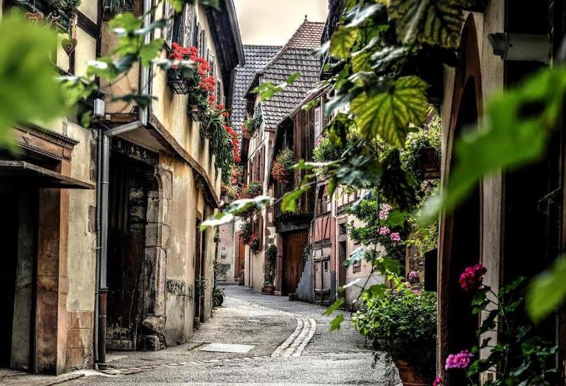 בית מלון כפרי Paul & Pia  Welcome Home