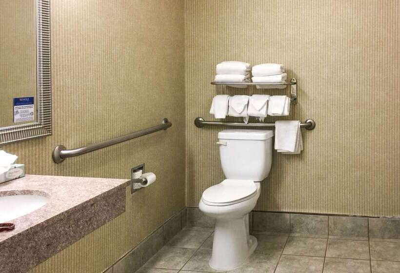 酒店 Quality Inn & Suites Oceanside Near Camp Pendleton