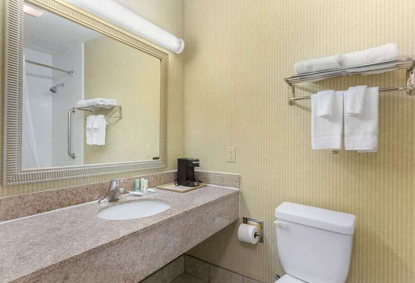 酒店 Quality Inn & Suites Oceanside Near Camp Pendleton