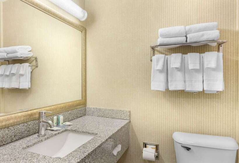 فندق Quality Inn & Suites Oceanside Near Camp Pendleton