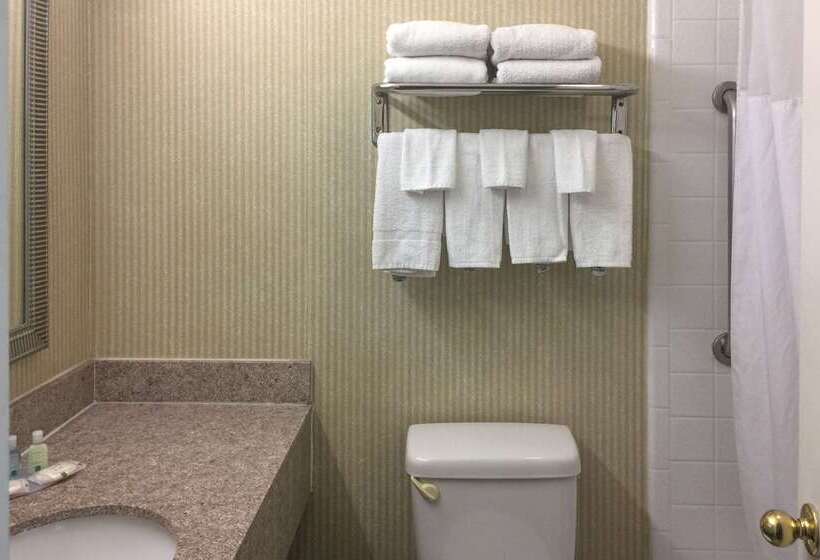 فندق Quality Inn & Suites Oceanside Near Camp Pendleton