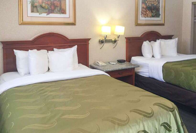 酒店 Quality Inn & Suites Oceanside Near Camp Pendleton