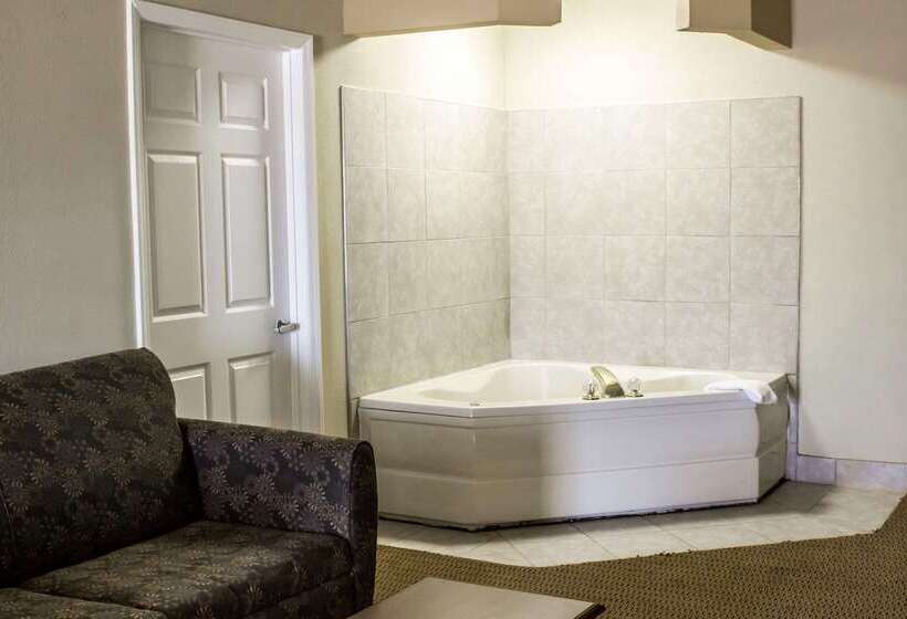 ホテル Quality Inn & Suites