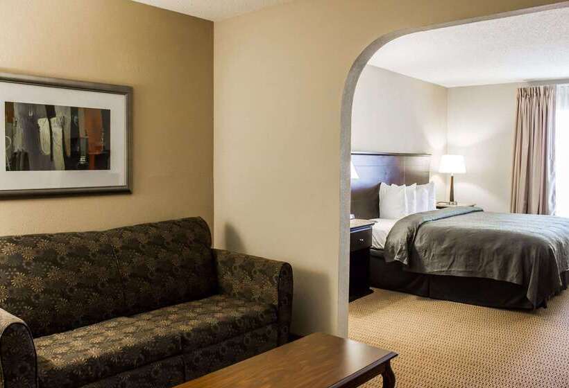 ホテル Quality Inn & Suites