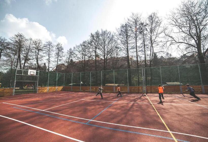 בית מלון כפרי Racek