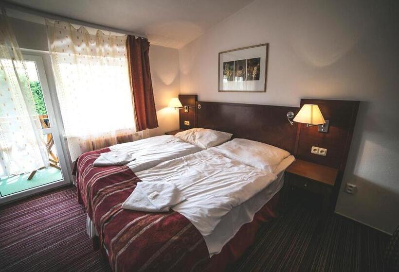 בית מלון כפרי Racek