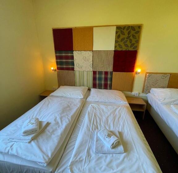 בית מלון כפרי Racek