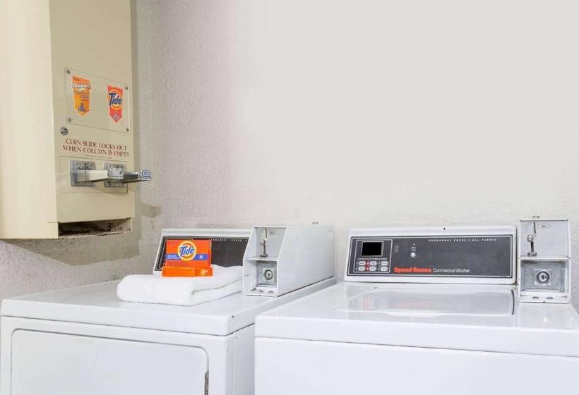 בית מלון כפרי Red Roof Inn Plus+ Neptune Beach  Jacksonville Beach