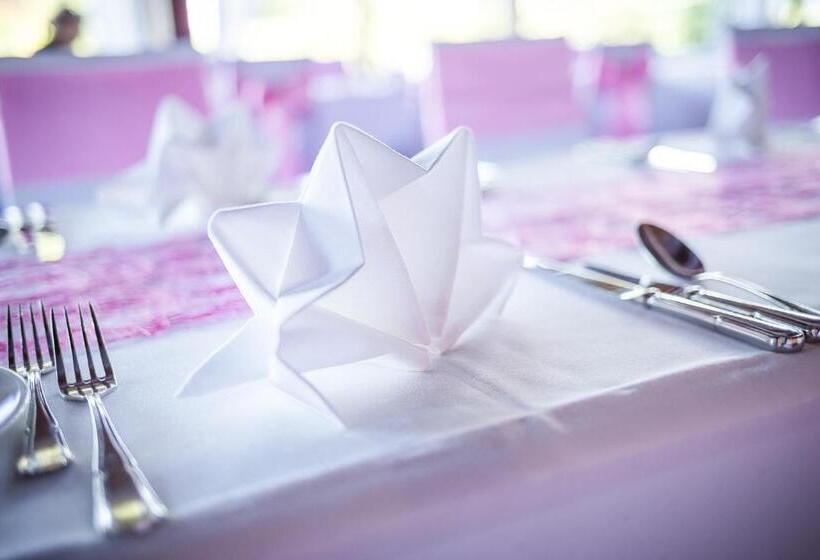 בית מלון כפרי Schloss Romanshorn